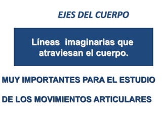 Líneas imaginarias que
atraviesan el cuerpo.
MUY IMPORTANTES PARA EL ESTUDIO
DE LOS MOVIMIENTOS ARTICULARES
EJES DEL CUERPO
 