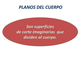 Son superficies
de corte imaginarias que
dividen al cuerpo.
PLANOS DEL CUERPO
 