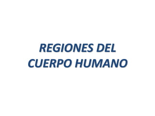 REGIONES DEL
CUERPO HUMANO
 
