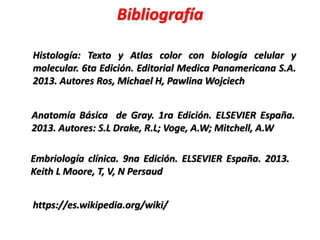 Bibliografía
Histología: Texto y Atlas color con biología celular y
molecular. 6ta Edición. Editorial Medica Panamericana S.A.
2013. Autores Ros, Michael H, Pawlina Wojciech
Anatomía Básica de Gray. 1ra Edición. ELSEVIER España.
2013. Autores: S.L Drake, R.L; Voge, A.W; Mitchell, A.W
Embriología clínica. 9na Edición. ELSEVIER España. 2013.
Keith L Moore, T, V, N Persaud
https://es.wikipedia.org/wiki/
 