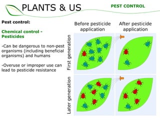 PLANTS & US
Pest control:
Chemical control -
Pesticides
-Can be dangerous to non-pest
organisms (including beneficial
organisms) and humans
-Overuse or improper use can
lead to pesticide resistance
PEST CONTROL
 