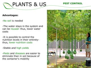 PLANTS & US
Advantages:
-No soil is needed
-The water stays in the system and
can be reused- thus, lower water
costs
-It is possible to control the
nutrition levels in their entirety-
thus, lower nutrition costs
-Stable and high yields
-Pests and diseases are easier to
eliminate than in soil because of
the container's mobility
PEST CONTROL
 