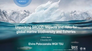 Unpacking SROCC: Impacts and risks for
global marine biodiversity and fisheries
#SROCC
COP25, Madrid
6 December 2019
Elvira Poloczanska WGII TSU
 