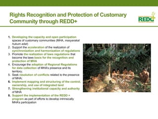 Where is REDD+ going in Indonesia?