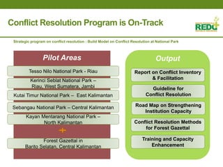 Where is REDD+ going in Indonesia?