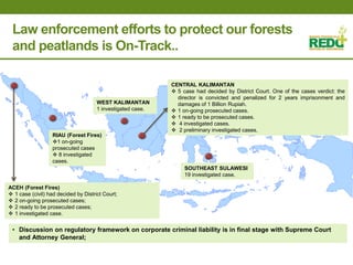 Where is REDD+ going in Indonesia?