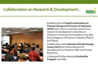 Where is REDD+ going in Indonesia?