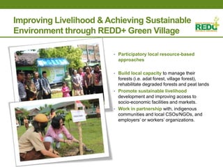 Where is REDD+ going in Indonesia?