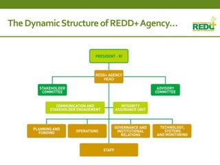 Where is REDD+ going in Indonesia?
