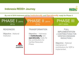 Where is REDD+ going in Indonesia?