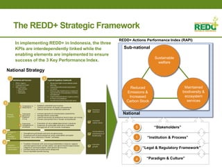 Where is REDD+ going in Indonesia?