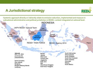 Where is REDD+ going in Indonesia?