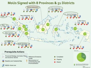 Where is REDD+ going in Indonesia?