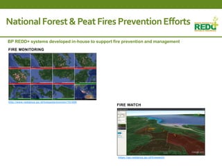 Where is REDD+ going in Indonesia?
