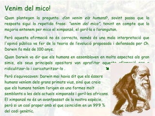 Venim del mico!  Quan plantegen la pregunta:  d’on venim els humans ?, sovint passa que la resposta sigui la repetida frase:  “venim del mico” , tenint en compte que la majoria entenem per mico el ximpanzé, el goril·la o l’orangutan. Però aquesta afirmació no és correcta, només és una mala interpretació que l'opinió pública va fer de la teoria de l’evolució proposada i defensada per Ch. Darwin fa més de 100 anys. Quan Darwin va dir que els humans en assemblaven en molts aspectes als gran simis, els seus principals opositors van aprofitar aquesta afirmació per a ridiculitzar-lo i caricaturitzar-lo  .   Però s’equivocaven: Darwin mai havia dit que els éssers  humans veníem dels grans primats vius, sinó que creia  que els humans teníem l’origen en una formes molt  semblants a les dels actuals ximpanzés i goril·les africans. El ximpanzé no és un avantpassat de la nostra espècie,  però si un cosí proper amb el que coincidim en un 99’9 %  del codi genètic. 
