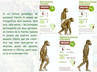 Si en l’arbre genealògic de qualsevol família hi posem les fotografies dels besavis, dels avis, dels pares, i les branques pertanyents als seus germans, en l’arbre de la família humana hi posem els nostres avant-passats fòssils que els cientí-fics han anat descobrint en diversos punts del planeta, sobretot a l’Àfrica, però enca-ra no el coneixem tots. 