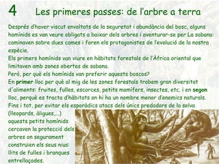 4   Les primeres passes: de l’arbre a terra Després d’haver viscut envoltats de la seguretat i abundància del bosc, alguns homínids es van veure obligats a baixar dels arbres i aventurar-se per La sabana: caminaven sobre dues cames i foren els protagonistes de l’evolució de la nostra espècie. Els primers homínids van viure en hàbitats forestals de l’Àfrica oriental que limitaven amb zones obertes de sabana.  Però, per què els homínids van preferir aquests boscos? En  primer  lloc per què al mig de les zones forestals trobem gran diversitat d'aliments: fruites, fulles, escorces, petits mamífers, insectes, etc. i en  segon  lloc, perquè es tracta d’hàbitats on hi ha un nombre menor d’enemics naturals. Fins i tot, per evitar els esporàdics atacs dels únics predadors de la selva (lleopards, àligues,...)  aquests petits homínids  cercaven la protecció dels  arbres on segurament  construïen els seus nius:  llits de fulles i branques  entrellaçades. 