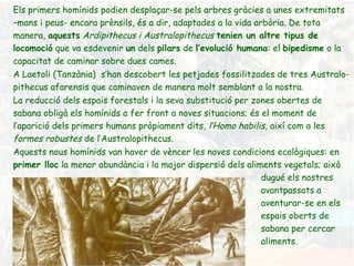 Els primers homínids podien desplaçar-se pels arbres gràcies a unes extremitats –mans i peus- encara prènsils, és a dir, adaptades a la vida arbòria. De tota manera,  aquests   Ardipithecus i Australopithecus   tenien un altre tipus de locomoció  que va esdevenir  un  dels  pilars  de  l’evolució humana : el  bipedisme  o la capacitat de caminar sobre dues cames.  A Laetoli (Tanzània)  s’han descobert les petjades fossilitzades de tres Australo-pithecus afarensis que caminaven de manera molt semblant a la nostra. La reducció dels espais forestals i la seva substitució per zones obertes de sabana obligà els homínids a fer front a noves situacions; és el moment de l’aparició dels primers humans pròpiament dits,  l’Homo habilis , així com a les  formes robustes  de l’Australopithecus. Aquests nous homínids van haver de vèncer les noves condicions ecològiques: en  primer lloc  la menor abundància i la major dispersió dels aliments vegetals; això  dugué els nostres  avantpassats a  aventurar-se en els  espais oberts de  sabana per cercar  aliments. 