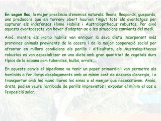 En segon lloc , la major presència d’enemics naturals: lleons, lleopards, guepards, uns predadors que en terreny obert haurien tingut tots els avantatges per capturar els indefensos Homo Habilis i Australopithecus robustos. Per això aquests avantpassats van haver d’adaptar-se a les situacions canviants del medi. Aixó, mentre els Homo habilis van enriquir la seva dieta incorporant més proteïnes animals provinents de la cacera i de la major cooperació social per afrontar en millors condicions els perills i dificultats, els Australopithecus robustos es van especialitzar en una dieta amb gran quantitat de vegetals durs típics de la sabana com tubercles, bulbs, arrels,... En aquests canvis el bipedisme va tenir un paper primordial: van permetre als homínids a fer llargs desplaçaments amb un mínim cost de despesa d’energia, i a transportar amb les mans lliures les eines o el menjar que necessitaven. Amés, drets, podien veure l’arribada de perills imprevistos i exposar el mínim el cos a l’exposició solar. 