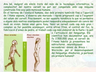 Ara bé, malgrat els símils trets del món de la tecnologia informàtica, la complexitat del nostre cervell no pot ser comparada amb cap màquina construïda fins avui pels mateixos humans. En el terreny de l'evolució humana, des dels primers homínids fins a l'aparició de l'Homo sapiens, s'observa una marcada i ràpida progressió cap a l'augment del volum del cervell. Precisament, va ser aquesta tendència la que va permetre a alguns dels nostres avantpassats poder respondre adequadament als canvis del medi on vivien. Sense anar gaire lluny, tenir un cervell cada cap més gran i complex va fer possible aconseguir, entre altres fites, el control del foc, la fabricació d'eines de pedra, el treball cada cap més elaborat de la fusta i la pell  o l'articulació del llenguatge. Els  científics han documentat que, ara  fa 2.500.000 anys, el cervell de  l'Homo habilis ja presentava les  estructures neurològiques  necessàries -àrees de Broca i  Wernicke- per al desenvolupament  del llenguatge. Aleshores, ja parlaven  els primers humans? 