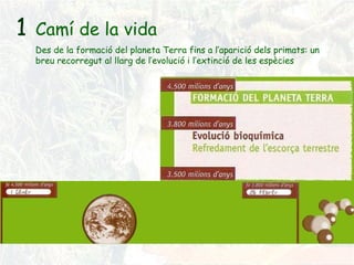 1 Camí de la vida Des de la formació del planeta Terra fins a l’aparició dels primats: un breu recorregut al llarg de l’evolució i l’extinció de les espècies 