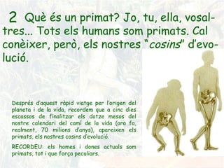 2 Què és un primat? Jo, tu, ella, vosal-tres... Tots els humans som primats. Cal conèixer, però, els nostres “ cosins ” d’evo-lució. Després d’aquest ràpid viatge per l’origen del planeta i de la vida, recordem que a cinc dies escassos de finalitzar els dotze mesos del nostre calendari del camí de la vida (ara fa, realment, 70 milions d’anys), apareixen els primats, els nostres cosins d’evolució. RECORDEU: els homes i dones actuals som primats, tot i que força peculiars. 