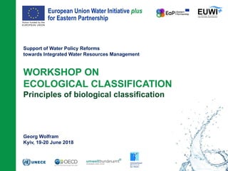 European Union Water Initiative plus
for Eastern Partnership
© iStockphoto.com/ansonsaw
Support of Water Policy Reforms
towards Integrated Water Resources Management
WORKSHOP ON
ECOLOGICAL CLASSIFICATION
Principles of biological classification
Georg Wolfram
Kyiv, 19-20 June 2018
 