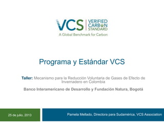 Programa y Estándar VCS
Pamela Mellado, Directora para Sudamérica, VCS Association
Taller: Mecanismo para la Reducción Voluntaria de Gases de Efecto de
Invernadero en Colombia
Banco Interamericano de Desarrollo y Fundación Natura, Bogotá
PROCEDIMIENTOS DEL ESTANDAR VCS
25 de julio, 2013
 