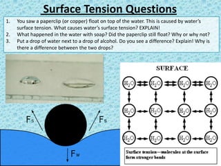 Surface Tension Questions
1.
2.
3.

You saw a paperclip (or copper) float on top of the water. This is caused by water’s
surface tension. What causes water’s surface tension? EXPLAIN!
What happened in the water with soap? Did the paperclip still float? Why or why not?
Put a drop of water next to a drop of alcohol. Do you see a difference? Explain! Why is
there a difference between the two drops?

 