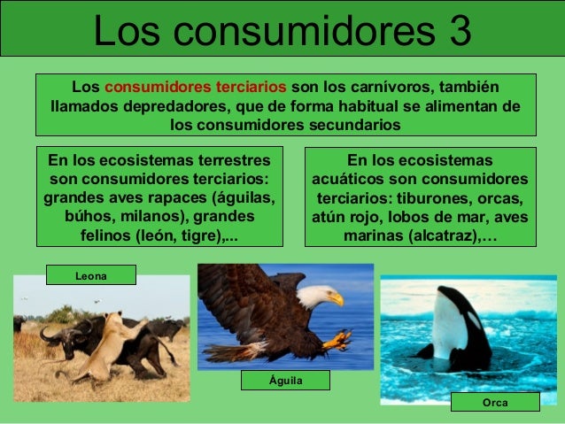 Resultado de imagen para consumidores 3