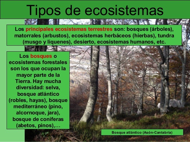 03 protección medio ambiente 03 protección medio ambiente