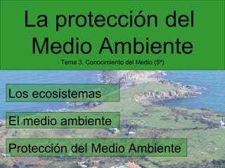 La protección del
Medio Ambiente
Tema 3. Conocimiento del Medio (5º)

Los ecosistemas
El medio ambiente
Protección del Medio Ambiente

 
