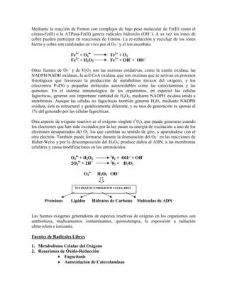 Mediante la reacción de Fenton con complejos de bajo peso molecular de Fe(II) como el
citrato-Fe(II) o la ATPasa-Fe(II) genera radicales hidroxilo (OH·-). A su vez los iones de
cobre pueden participar en reacciones de Fenton. La re-reducción y reciclaje de los iones
hierro y cobre son catalizadas en vivo por el O2·- y el ion ascorbato.

                      Fe3+ + O2•-           Fe2+ + O2
                      Fe2+ + H2O2           Fe3+ + OH- + OH·-

Otras fuentes de O2·- y de H2O2 son las enzimas oxidativas, como la xantin oxidasa, las
NADPH/NADH oxidasas, la acil CoA oxidasa, que son enzimas que se activan en procesos
fisiológicos que favorecen la producción de metabolitos tóxicos del oxígeno, y los
citocromos P-450 y pequeñas moléculas autooxidables como las catecolaminas y las
quinonas. En el sistema inmunológico de los organismos, en especial las células
fagocíticas, generan una importante cantidad de H2O2, mediante NADPH oxidasa unida a
membranas. Aunque las células no fagocíticas también generan H2O2 mediante NADPH
oxidasa, ésta es estructural y genéticamente diferente, y su tasa de generación es apenas el
1% del generado por las células fagocíticas.

Otra especie de oxígeno reactivo es el oxígeno singlete (102), que puede generarse cuando
los electrones que han sido excitados por la luz pasan su energía de excitación a uno de los
electrones desapareados del O2, los que cambian su sentido de giro, y apareándose con el
otro electrón. También puede formarse durante la dismutación del O2·- en las reacciones de
Haber-Weiss y por la descomposición del H2O2; produce daños al ADN, a las membranas
celulares y causa modificaciones en los aminoácidos.

                      O2•- + H2O2           1
                                              02 + OH·- + OH-
                      2O2•- + 2H+           1
                                              02 + H2O2

                             O2•-     H2O2 OH·-


                        SUSTRATOS ENDÓGENOS CELULARES



       Proteínas      Lípidos       Hidratos de Carbono    Moléculas de ADN


Las fuentes exógenas generadoras de especies reactivas de oxígeno en los organismos son
antibióticos, medicamentos contaminantes, quimioterapia, la exposición a radiación
ultravioleta e ionizante.

Fuentes de Radicales Libres

1. Metabolismo Celular del Oxígeno
2. Reacciones de Óxido-Reducción
            • Fagocitosis
            • Autoxidación de Catecolaminas
 