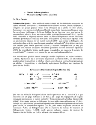 •    Síntesis de Prostaglandinas
              •    Oxidación de Hipoxantina y Xantina

3. Otras Fuentes

Peroxidación lipídica. Todas las células están rodeadas por una membrana celular que las
separa del medio extracelular. La membrana celular contiene enzimas, canales, receptores y
antígenos que juegan papeles vitales en la interacción de la célula con otras células,
hormonas y otros agentes reguladores del liquido extracelular. La estructura básica de todas
las membranas biológicas es la bicapa lipídica, la que funciona como una barrera de
permeabilidad selectiva. Éstas son ricas en ácidos grasos poliinsaturados (PUFAs) y por lo
tanto vulnerables al ataque de radicales libres. De particular importancia son las reacciones
mediadas por radicales libres que traen como consecuencia la peroxidación lipídica. Esta
es generalmente inducida por un radical hidroxilo (HO·-) que sustrae un hidrógeno a la
cadena lateral de un ácido graso formando un radical carbonado (R•). Este último reacciona
con oxígeno para formar peróxidos cíclicos y radicales hidroperóxidos (ROO•) que
propagan esta reacción en cadena. Se forman igualmente radicales alcoxílicos lipofílicos
(RO•). La peroxidación lipídica puede seguir propagándose en presencia de metales de
transición (Men+) existentes en el plasma, los que son catalizadores oxidativos.

Los antioxidantes pueden formar complejos estables impidiendo su acción catabólica.
Además, dependiendo de su coeficiente de partición y potencial redox, los antioxidantes
pueden actuar libremente en la interfase celular comportándose como potentes protectores
de células y lipoproteínas o estabilizando antioxidantes lipofílicos que previenen la
peroxidación lipídica.

                      Peroxidación Lipídica iniciada por el Radical (R•)

       PUFA           LH + R•                       L •+ RH                      (1)
                      L• + O2                       LOO•                          (2)
                      LH + LOO•                     L• + LOOH                     (3)

              LOOH + Men+                                  LO• + Me(n-1)+
                                                                                  (4)
                            (n-1)+                               •      n+
              LOOH + Me                                     LOO + Me


(1) Fase de iniciación de la peroxidación lipídica provocada por el radical (R•), el que
reacciona con un grupo metileno de un PUFA; (2) etapa de propagación; el oxígeno
molecular reacciona con el radical carbonilo y forma rápidamente el radical lipoperóxido
(LOO•). Éste puede sustraer un hidrógeno de otro ácido graso poliinsaturado (PUFA),
análogo a (1); (3) reacción que termina la propagación formándose el producto estable de la
peroxidación, el hidroperóxido lipídico (LOOH), pero implica la posible conversión de
numerosos PUFAs en hidroperóxidos; (4) en presencia de metales de transición el
hidroperóxido lipídico (LOOH) puede generar radicales capaces de reiniciar la
lipoperoxidación lipídica por el ciclo redox de estos iones metálicos.
 