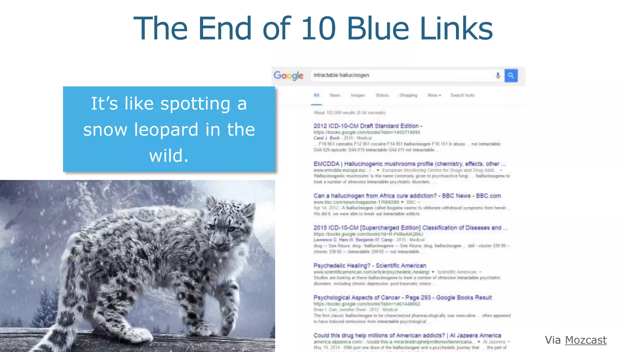 Slide 6