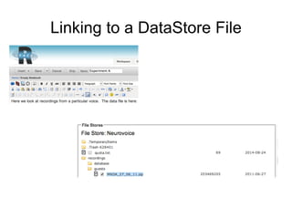 Linking to a DataStore File
 