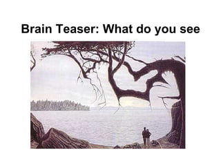 Brain Teaser: What do you see
 