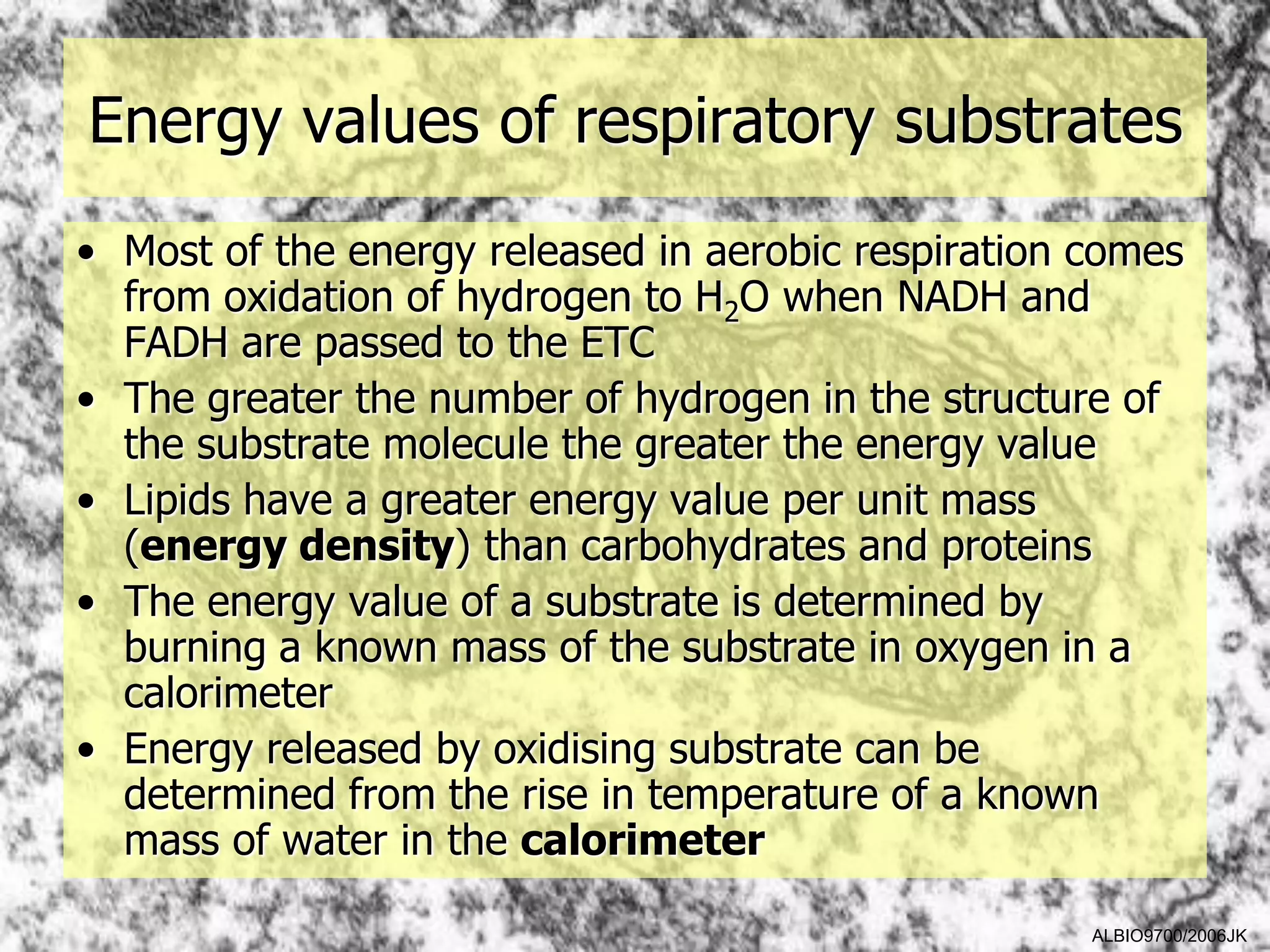 Energy values of respiratory substrates
• Most of the energy released in aerobic respiration comes
  from oxidation of hydrogen to H2O when NADH and
  FADH are passed to the ETC
• The greater the number of hydrogen in the structure of
  the substrate molecule the greater the energy value
• Lipids have a greater energy value per unit mass
  (energy density) than carbohydrates and proteins
• The energy value of a substrate is determined by
  burning a known mass of the substrate in oxygen in a
  calorimeter
• Energy released by oxidising substrate can be
  determined from the rise in temperature of a known
  mass of water in the calorimeter

                                                     ALBIO9700/2006JK
 