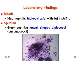 Spr 09 20Fall 07 20
Laboratory findings
Blood:
Neutrophilic leukocytosis with left shift.
Sputum:
Gram positive lancet shaped diplococci
(pneumococci)
 