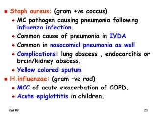 Spr 09 23Fall 07 23
Staph aureus: (gram +ve coccus)
MC pathogen causing pneumonia following
influenza infection.
Common cause of pneumonia in IVDA
Common in nosocomial pneumonia as well
Complications: lung abscess , endocarditis or
brain/kidney abscess.
Yellow colored sputum
H.influenzae: (gram –ve rod)
MCC of acute exacerbation of COPD.
Acute epiglottitis in children.
 