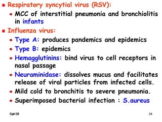 Spr 09 34Fall 07 34
Respiratory syncytial virus (RSV):
MCC of interstitial pneumonia and bronchiolitis
in infants
Influenza virus:
Type A: produces pandemics and epidemics
Type B: epidemics
Hemagglutinins: bind virus to cell receptors in
nasal passage
Neuraminidase: dissolves mucus and facilitates
release of viral particles from infected cells.
Mild cold to bronchitis to severe pneumonia.
Superimposed bacterial infection : S.aureus
 