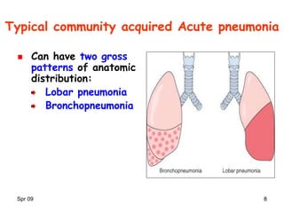 Spr 09 88
Typical community acquired Acute pneumonia
Can have two gross
patterns of anatomic
distribution:
Lobar pneumonia
Bronchopneumonia
 