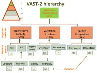 1
                                   VAST-2 hierarchy
                           3
                                                    Vegetation
                          10                      Transformation
                                                       score
                          22
Diagnostic
attributes




                     Regenerative                   Vegetation                          Species
                       Capacity                      Structure                        Composition
                        (55%)                          (27%)                             (18%)
Attribute




                                    Reprod
 groups




               Fire       Soil                  Overstorey     Understorey   Overstorey     Understorey
                                    potent
                                                    (3)           (3)           (2)             (2)
               (2)                  (2)


  Structure            Nutrients      Biology      Hydrology
             (2)         (2)              (2)        (2)                 Indicators
 