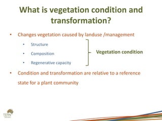 What is vegetation condition and
            transformation?
•   Changes vegetation caused by landuse /management
      •   Structure

      •   Composition                  Vegetation condition
      •   Regenerative capacity

•   Condition and transformation are relative to a reference
    state for a plant community
 
