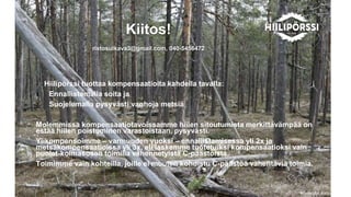Photo: Ari Aalto
Kiitos!
ristosulkava3@gmail.com, 040-5456472
- ᾱö tuottaa kompensaatioita kahdella tavalla:
1. Ennallistamalla soita ja
2. Suojelemalla pysyvästi vanhoja metsiä
Molemmissa kompensaatiotavoissamme hiilen sitoutumista merkittävämpää on
estää hiilen poistuminen varastoistaan, pysyvästi.
Ylikompensoimme – varmuuden vuoksi – ennallistamisessa yli 2x ja
metsäkompensaatioissa yli 3x, eli laskemme tuotetuiksi kompensaatioksi vain
puolet-kolmasosan toimilla vähennetyistä C-päästöistä.
Toimimme vain kohteilla, joille ei muuten kohdistu C-päästöä vähentäviä toimia.
 