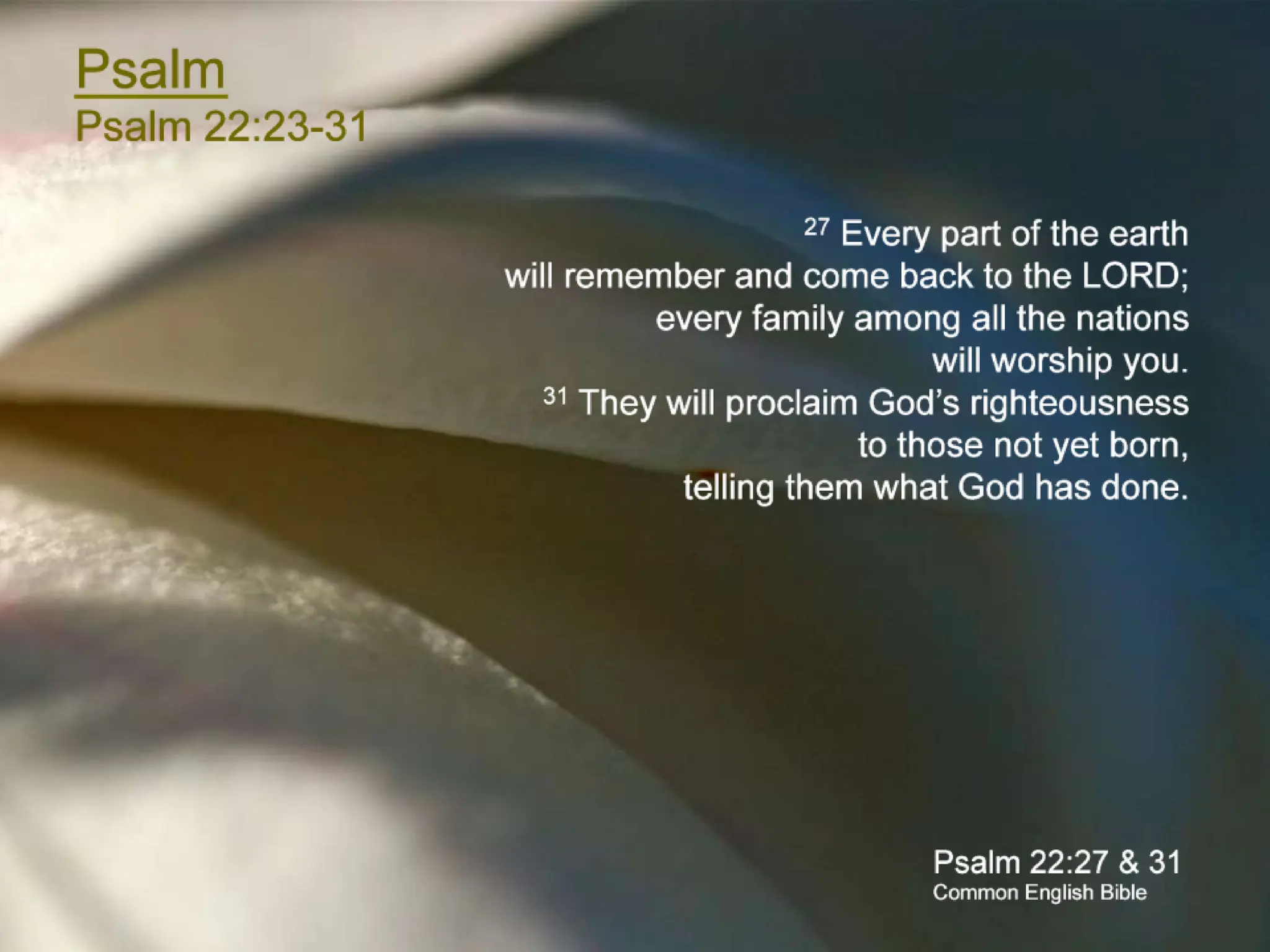 The Common English Bible - 2nd Sunday in Lent