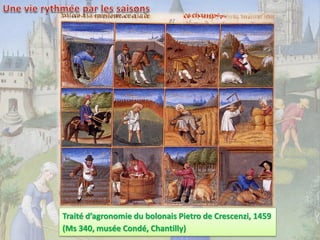 Traité d’agronomie du bolonais Pietro de Crescenzi, 1459
(Ms 340, musée Condé, Chantilly)

 