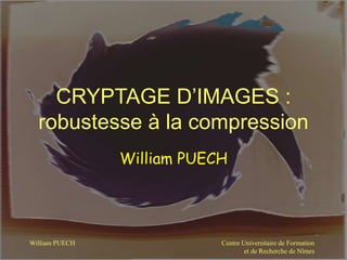 Centre Universitaire de Formation
et de Recherche de Nîmes
William PUECH
CRYPTAGE D’IMAGES :
robustesse à la compression
William PUECH
 