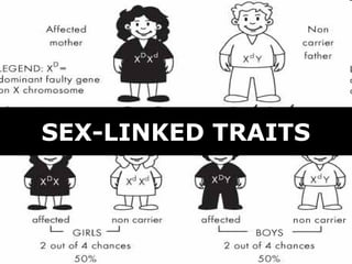 SEX-LINKED TRAITS
 
