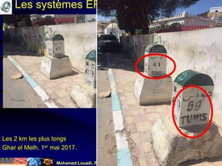 Mohamed Louadi, PhD mlouadi@louadi.com19
Les systèmes ERP
Les 2 km les plus longs
Ghar el Melh, 1er mai 2017.
 
